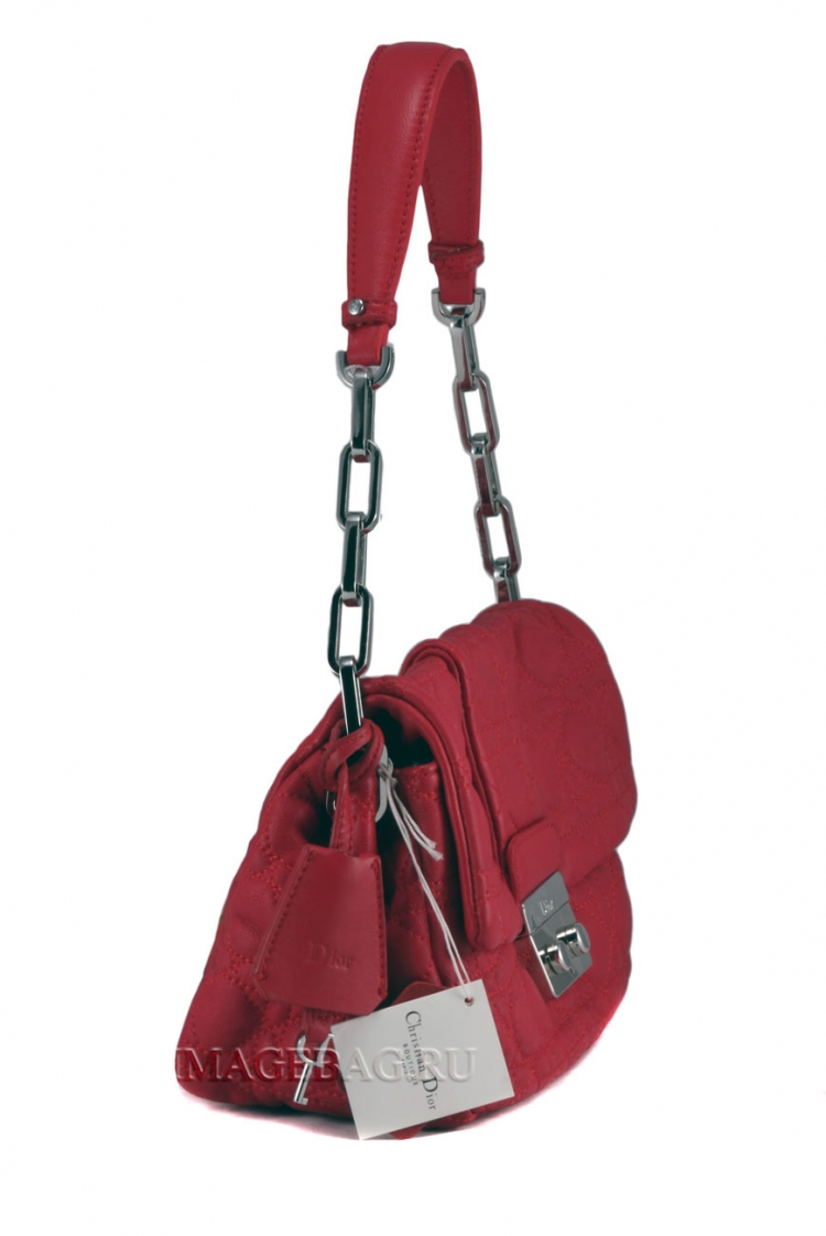 Сумка женская Christian Dior 2802