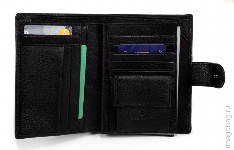 Paul Rayner 208-3104 обложка для автодокументов паспорта_8591